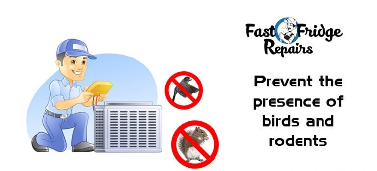 Prevent the Presence of Birds and Rodents 