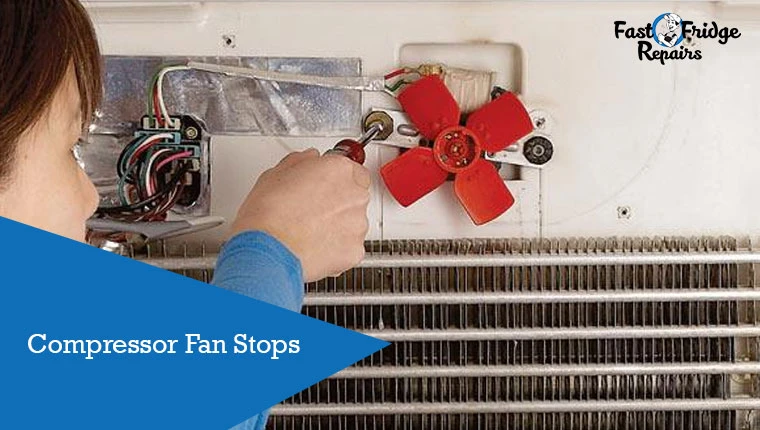 compressor fan