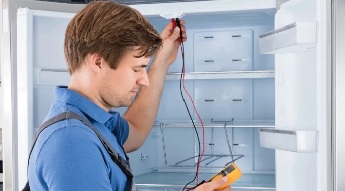 fridge magnetic doors