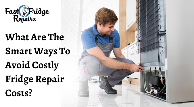 Costly Fridge Repair