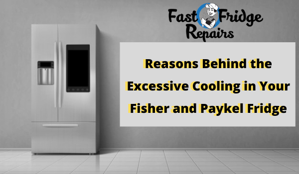 Fisher and Paykel Fridge Repairs