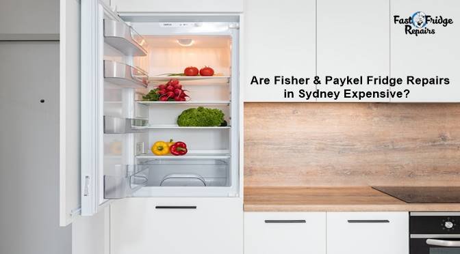 Are Fisher & Paykel Fridge Repairs in Sydney Expensive?